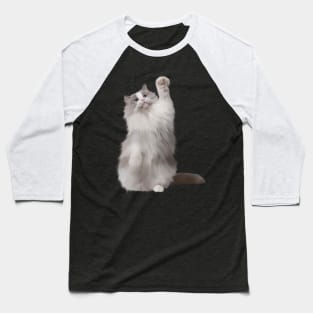 Ragdoll Cat Fetching, Ragdoll Cats, Cat Lover Baseball T-Shirt